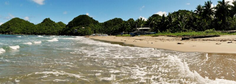 Beach view with green mountains and jungle in the background