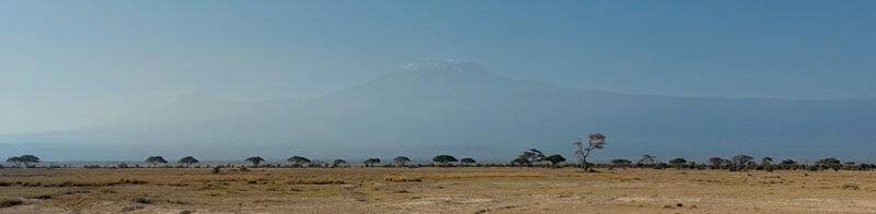 Kilimanjaro behind dry savannah