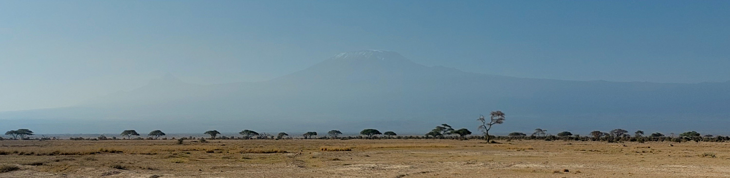 Kilimanjaro behind dry savannah