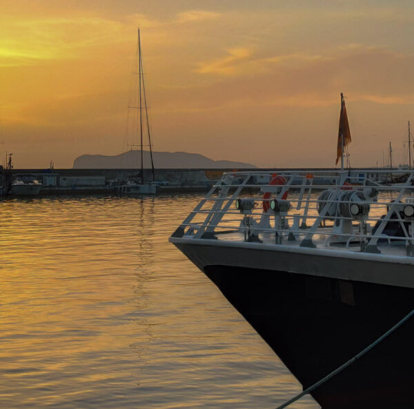 One day from Palermo to dive paradise Ustica